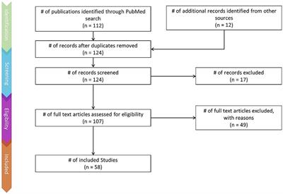 fNIRS a novel neuroimaging tool to investigate olfaction, olfactory imagery, and crossmodal interactions: a systematic review